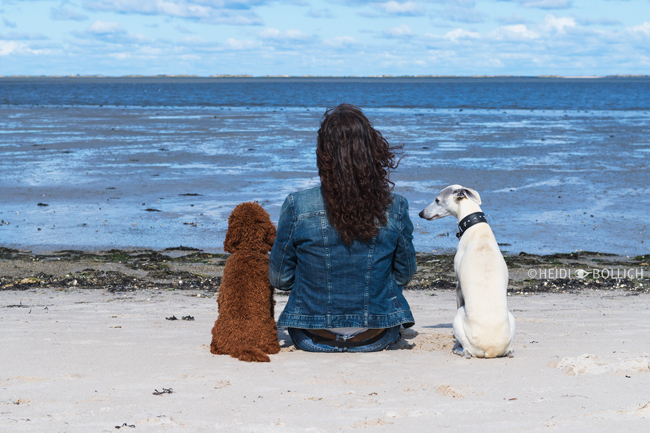 Spätsommer an der Nordsee