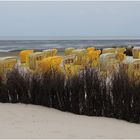 Spätsommer an der Nordsee