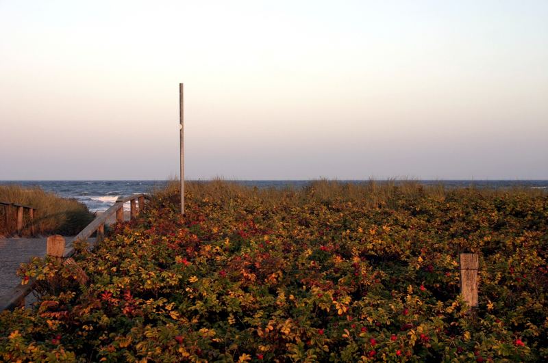 SpätSommer an der Ostsee