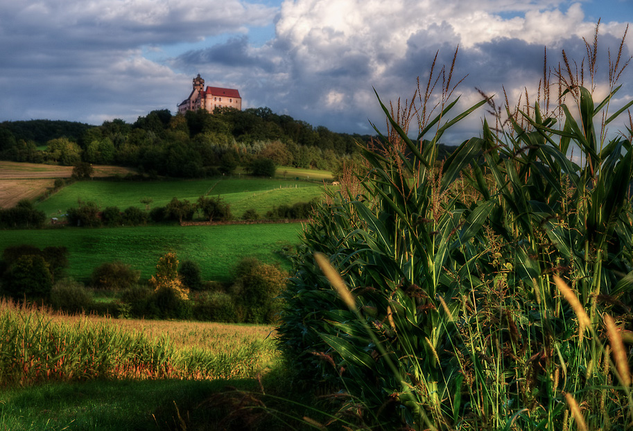 Spätsommer an der Ronneburg