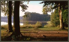 Spätsommer an einem kleinen See in Brandenburg