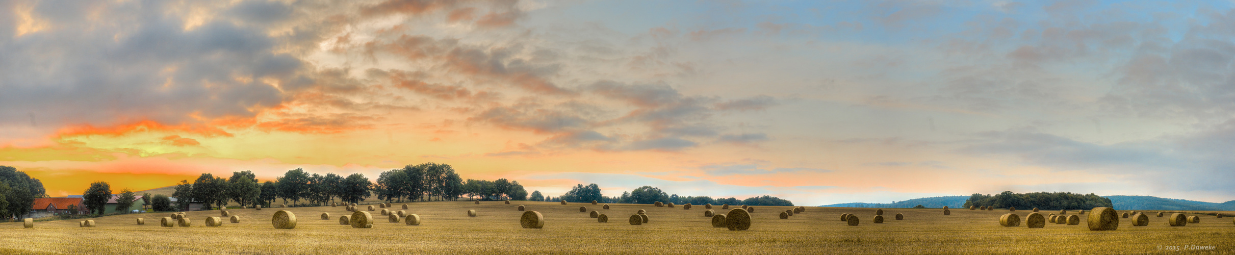 Spätsommer auf dem Felde