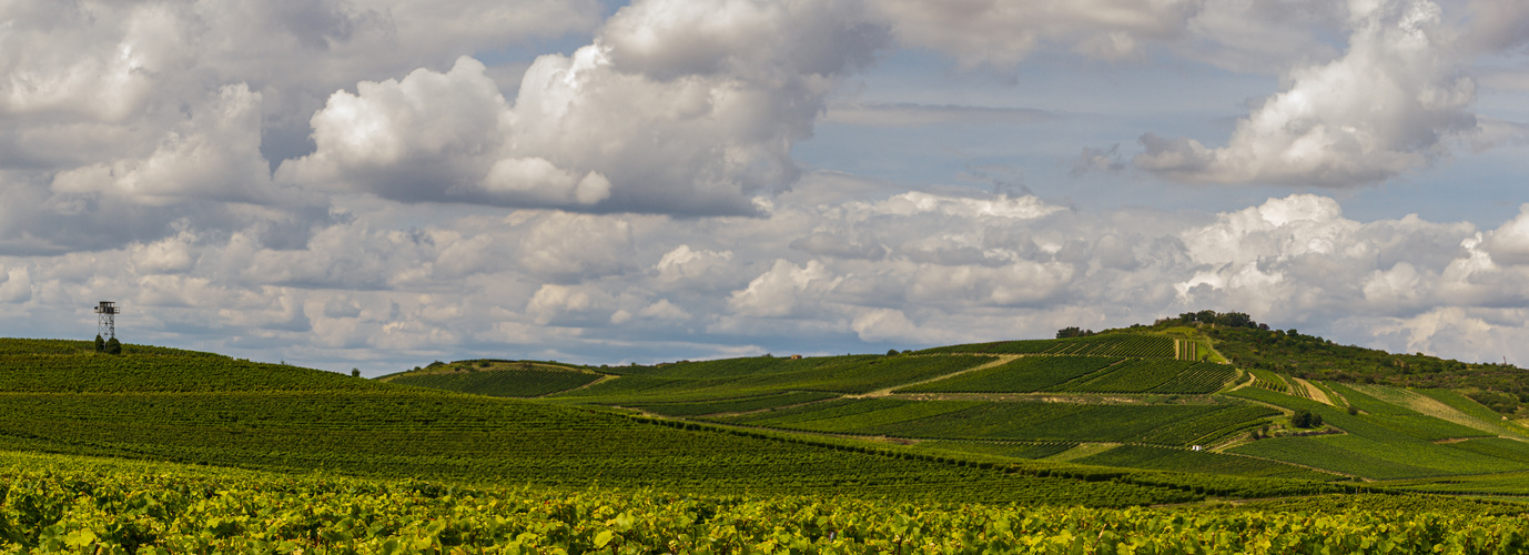 Spätsommer auf dem Petersberg