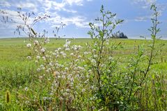 Spätsommer auf den Hangarder Wiesen