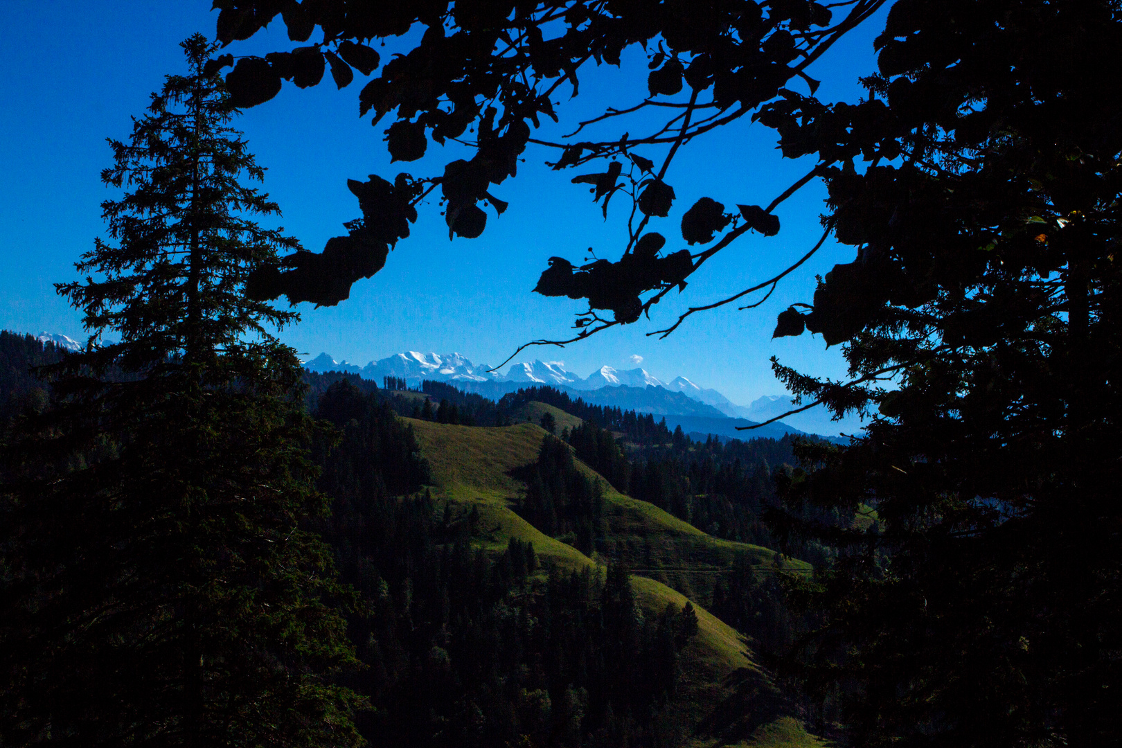 Spätsommer auf der Hinterarnialp