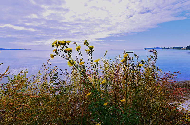 Spätsommer auf Rügen