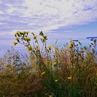 Spätsommer auf Rügen