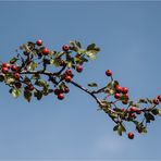 Spätsommer