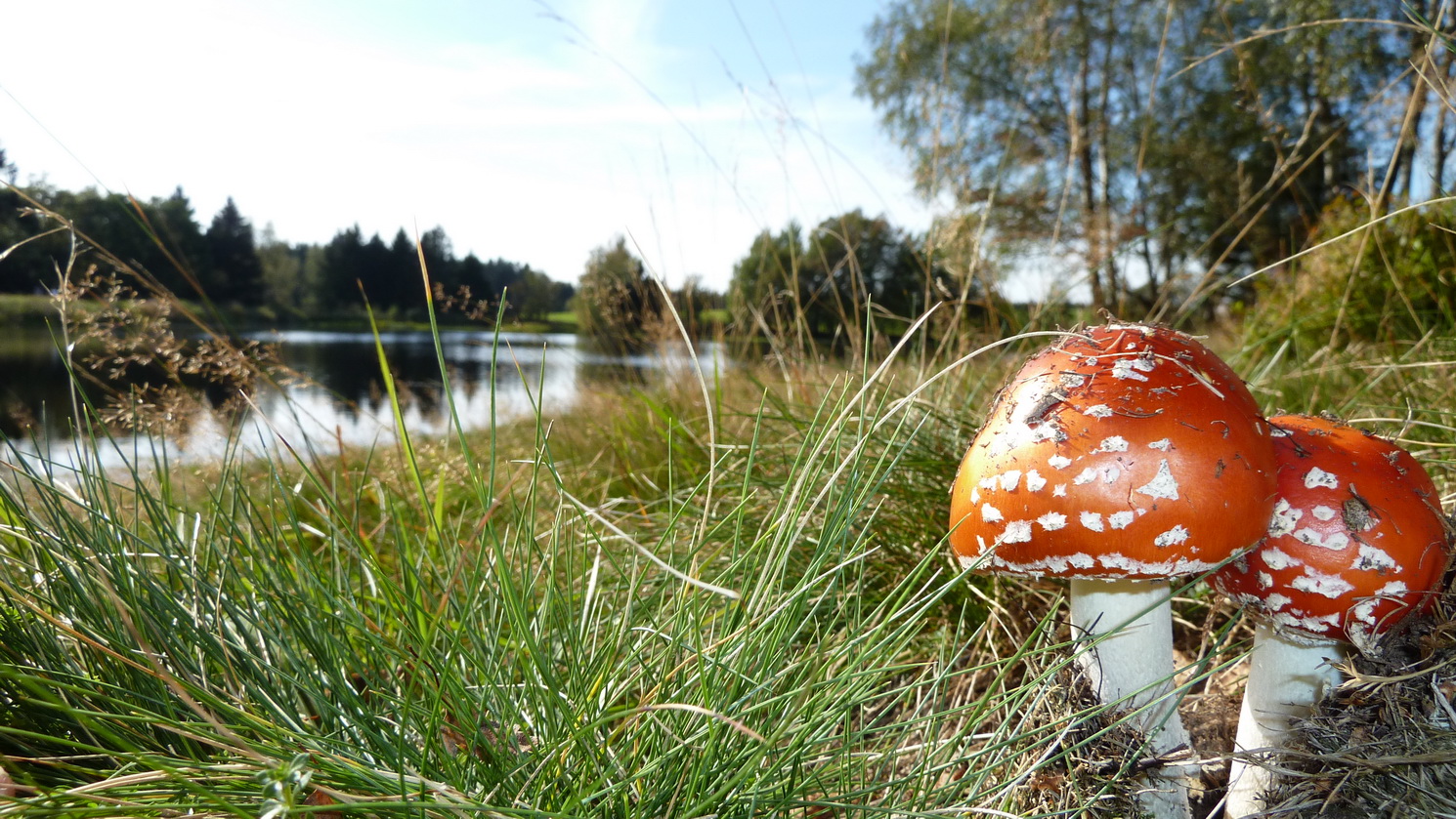 Spätsommer