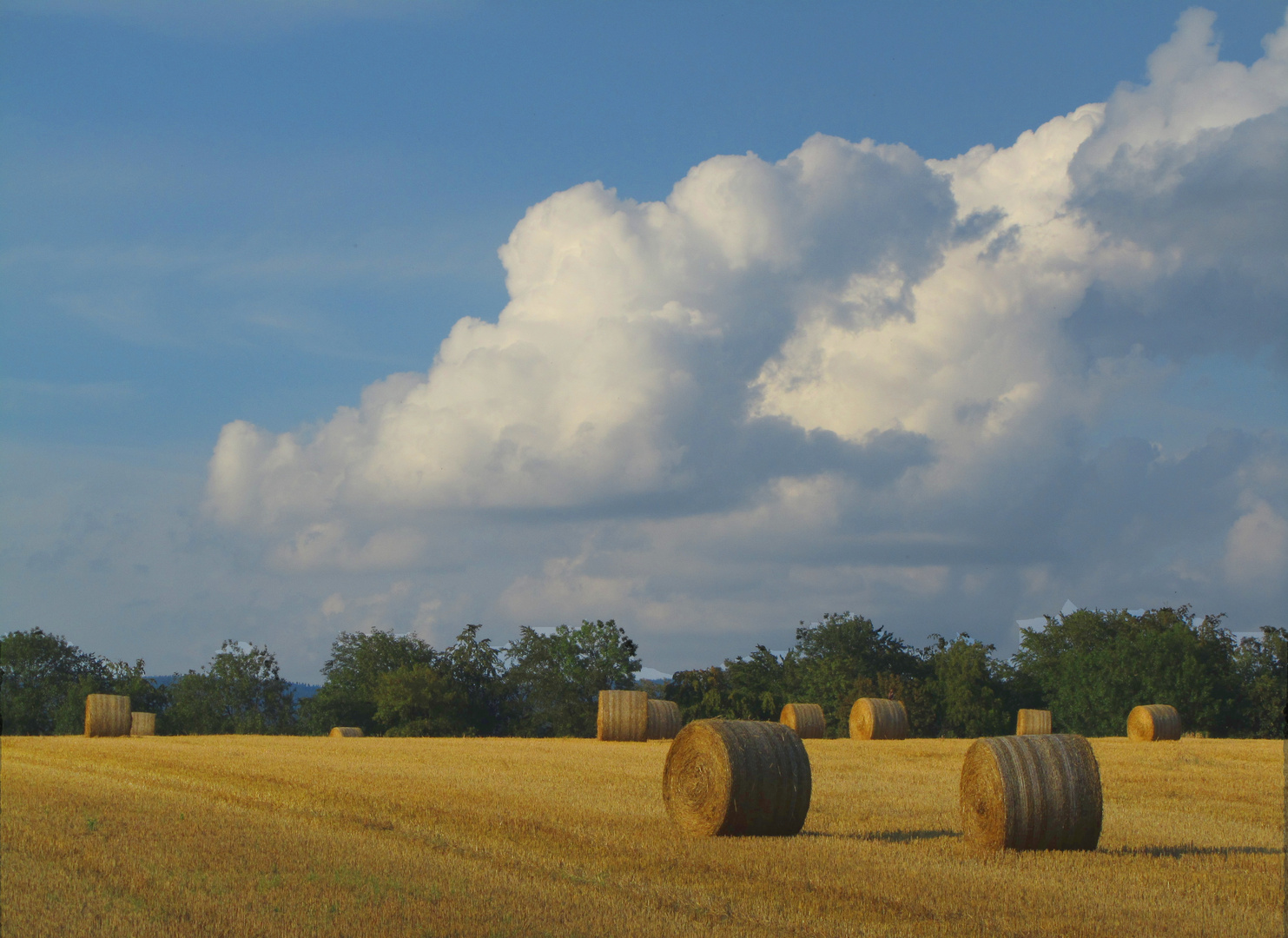 Spätsommer