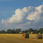 Spätsommer