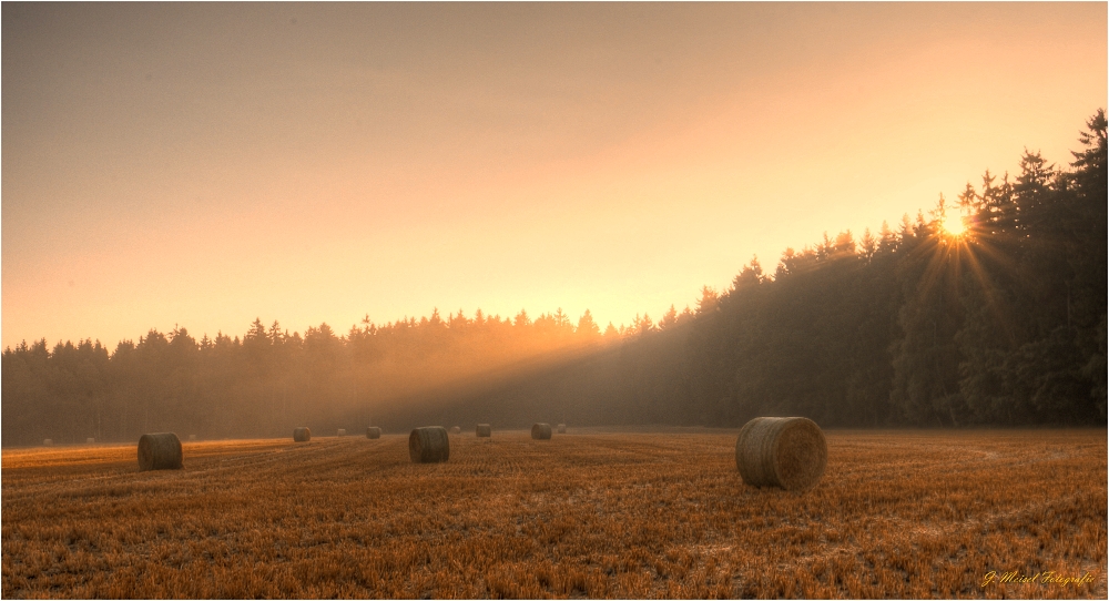 Spätsommer