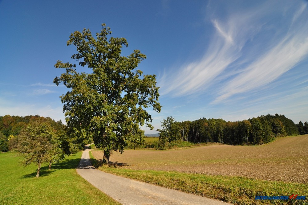 Spätsommer