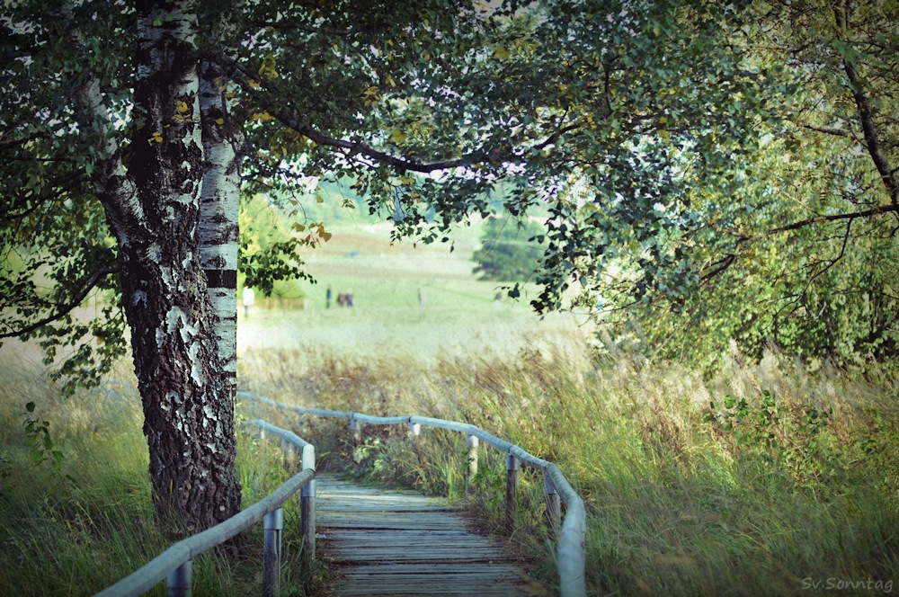 Spätsommer ....