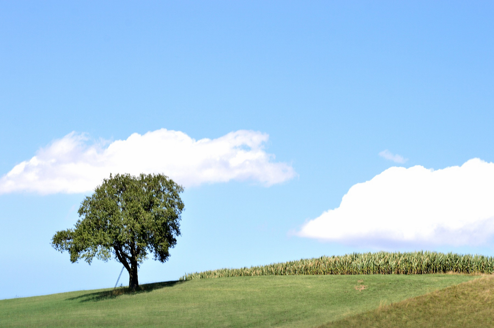 Spätsommer 