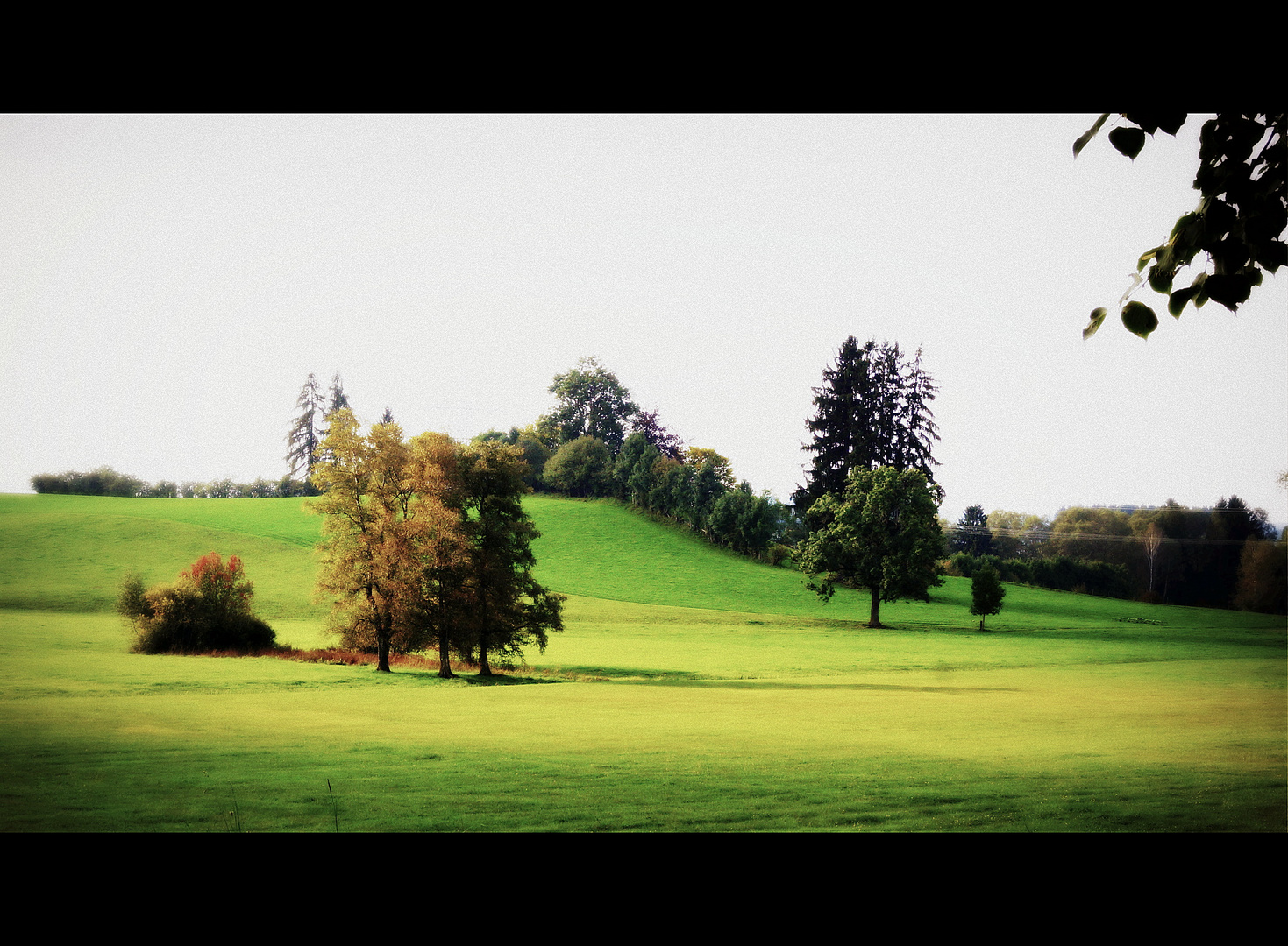 Spätsommer