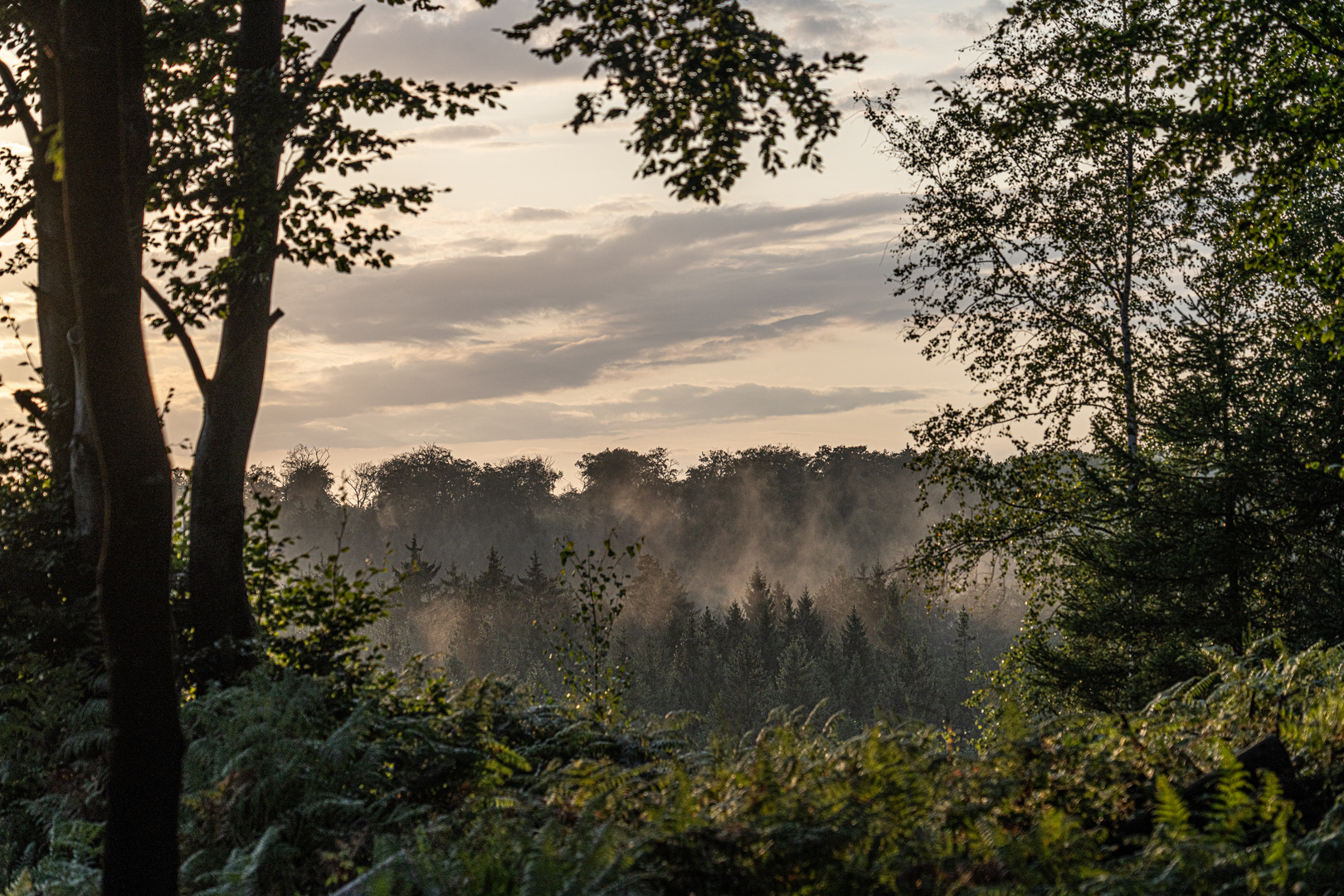 Spätsommer, Durchblick zum Nebelaufstieg