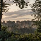 Spätsommer, Durchblick zum Nebelaufstieg