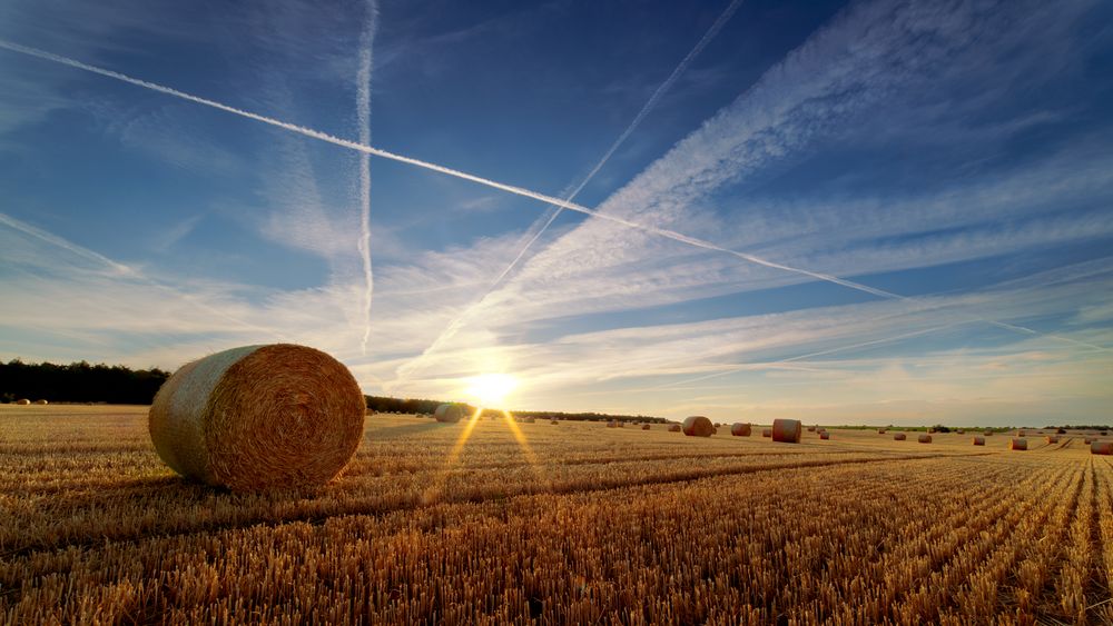 Spätsommer Foto & Bild jahreszeiten, outdoor, natur Bilder auf