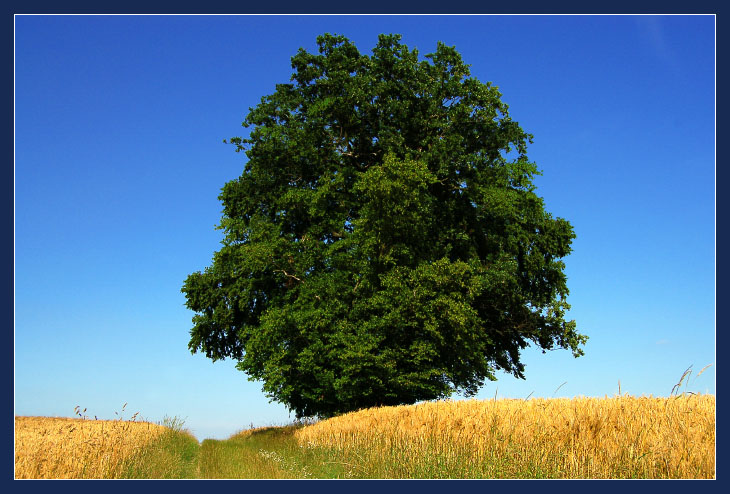 "Spätsommer Farben"...