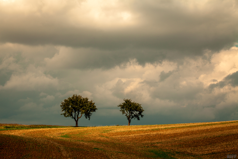 Spätsommer