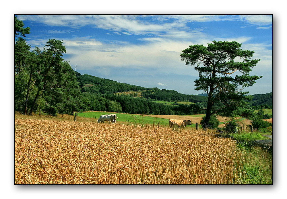 -Spätsommer-Feeling-