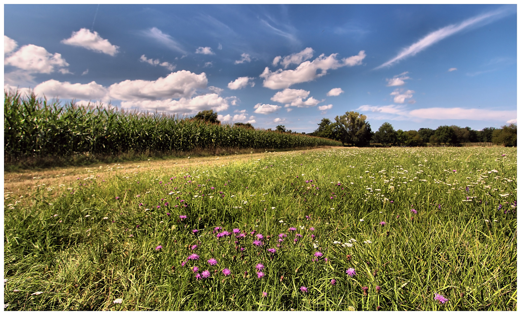 Spätsommer-Feeling