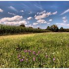 Spätsommer-Feeling