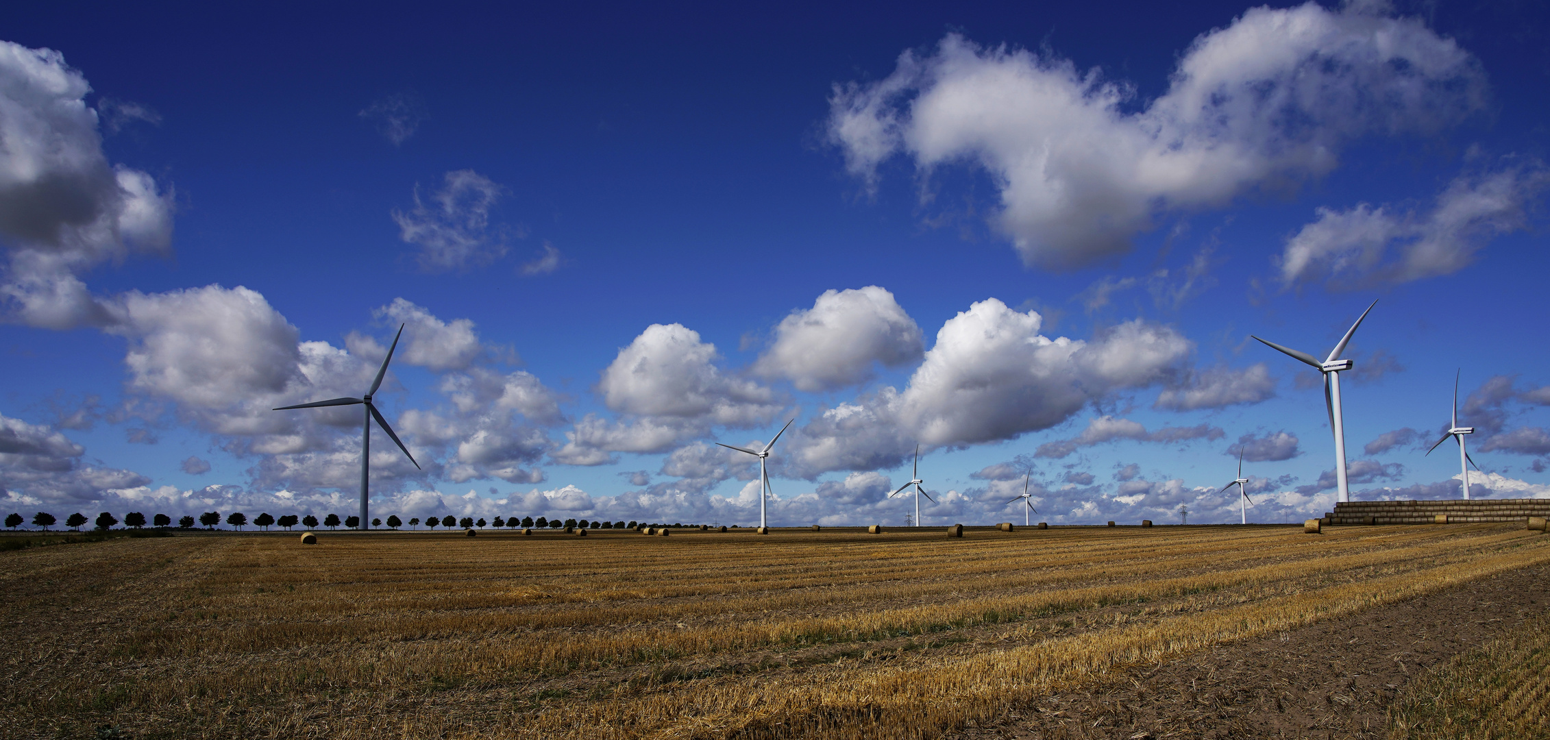 Spätsommer-Feld mit Windrädern