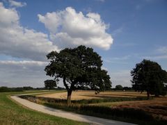 Spätsommer im Aller-Leine-Tal