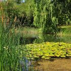 Spätsommer im Britzer Garten....