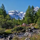 SPÄTSOMMER IM ENGADIN