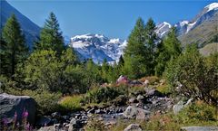 SPÄTSOMMER IM ENGADIN