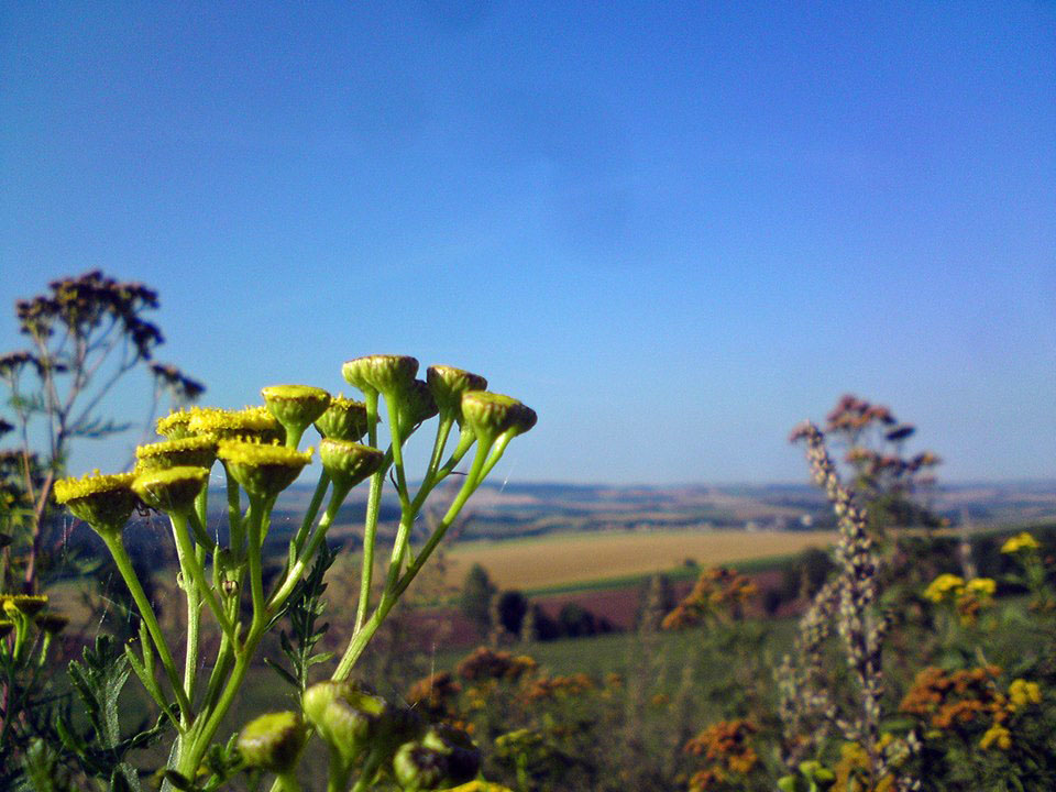 Spätsommer im Erzgebirge