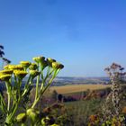 Spätsommer im Erzgebirge