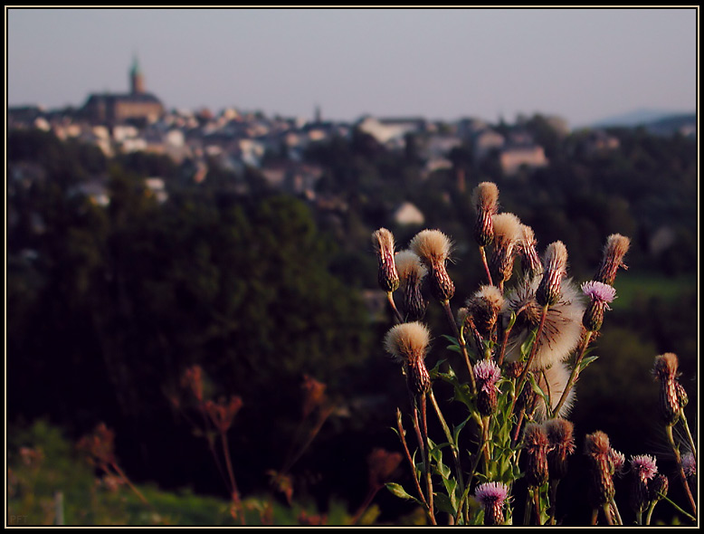 Spätsommer im Erzgebirge (Letzte Bilder vom Sommer 4)