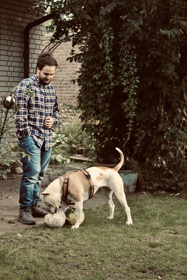 Spätsommer im Garten