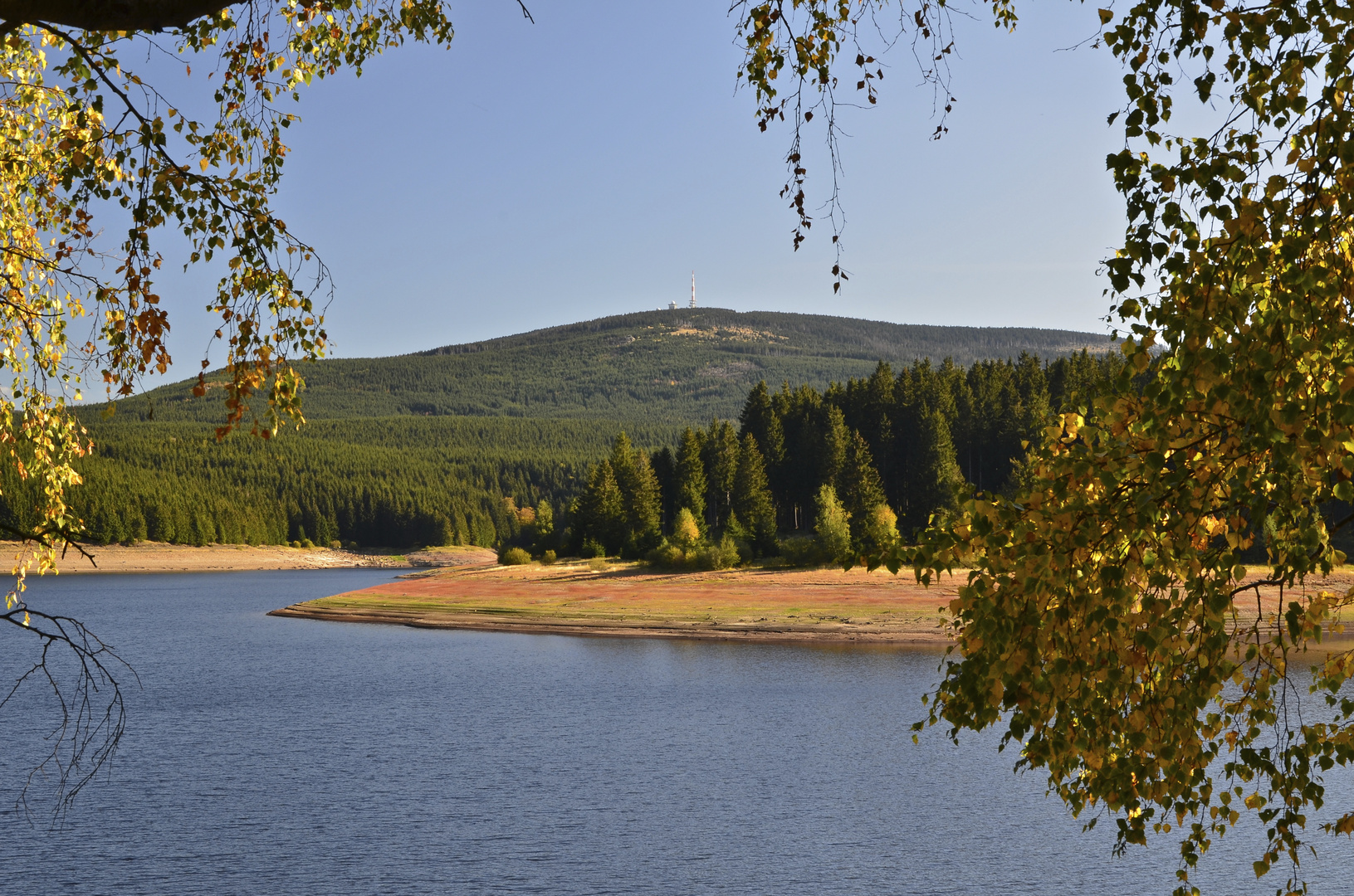 ...Spätsommer im Harz....