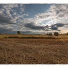 Spätsommer im Kraichgau