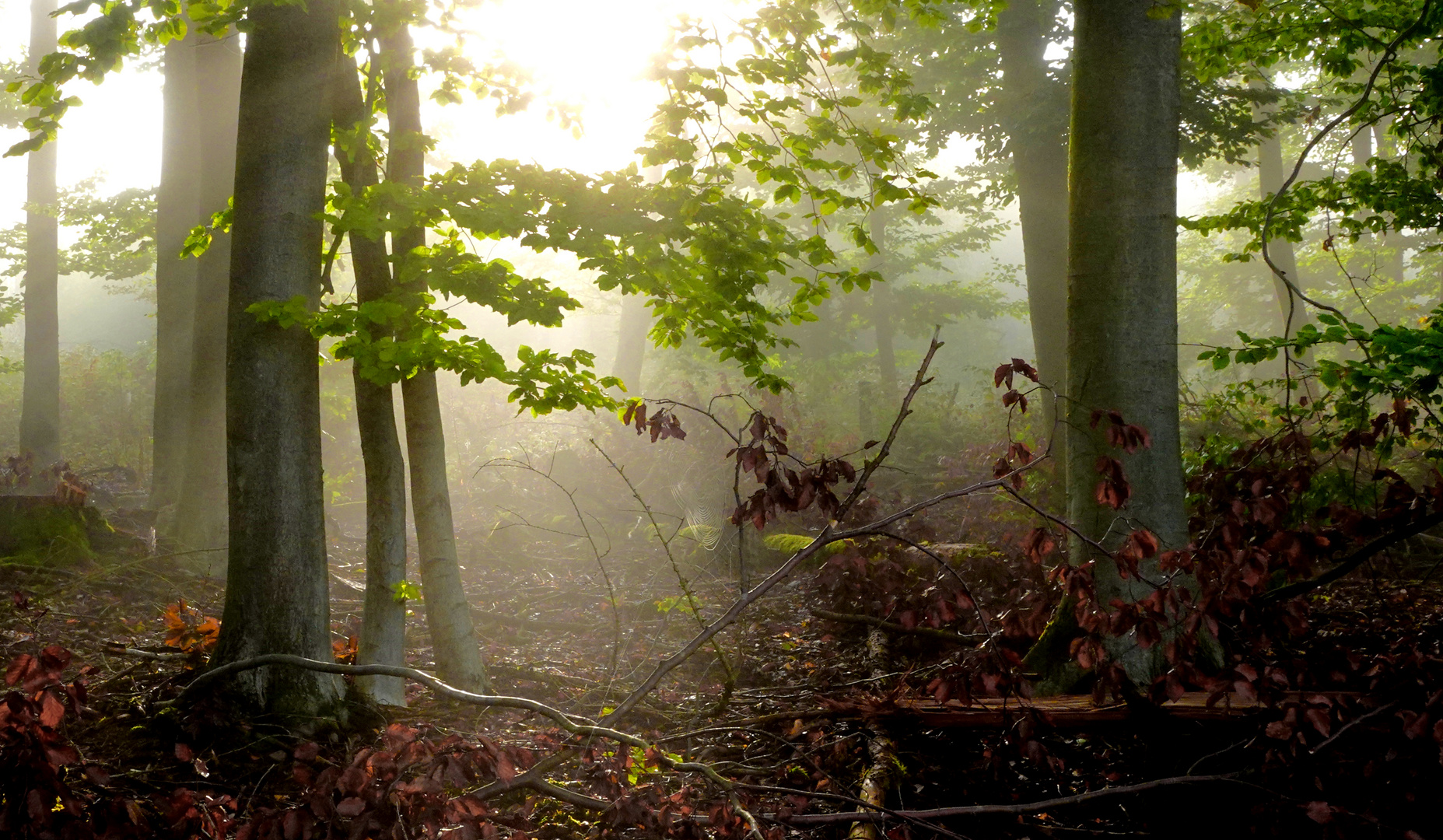 Spätsommer im Lichtspot