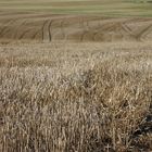 Spätsommer im Lipperland bei Detmold