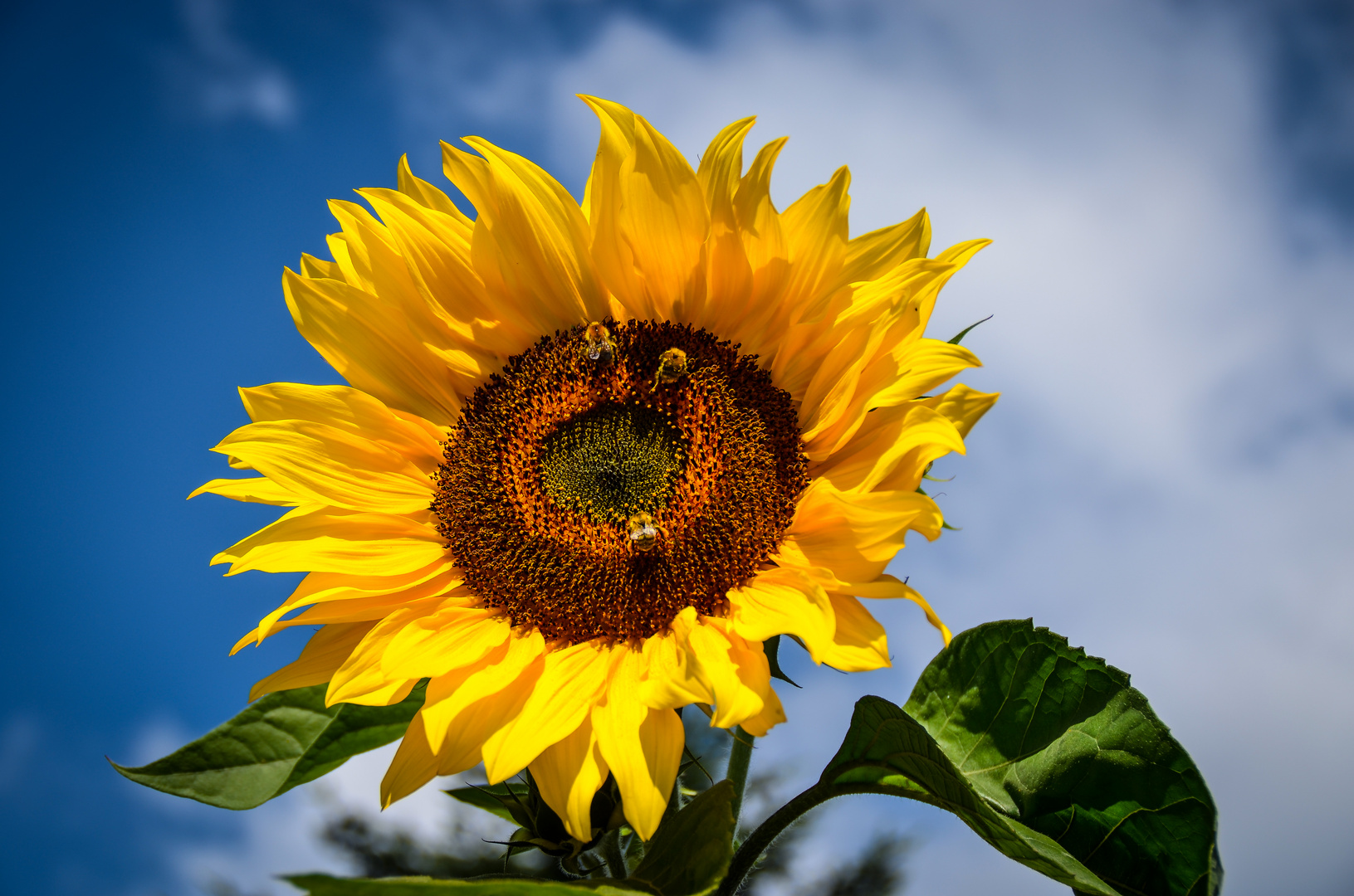 Spätsommer im Norden