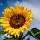 Spätsommer im Norden