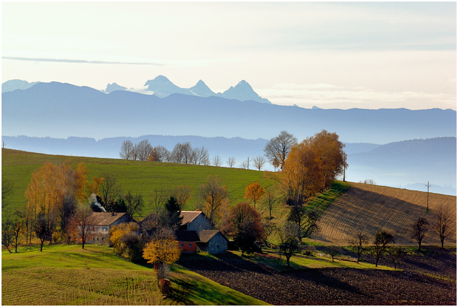 Spätsommer im November