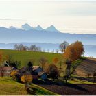 Spätsommer im November