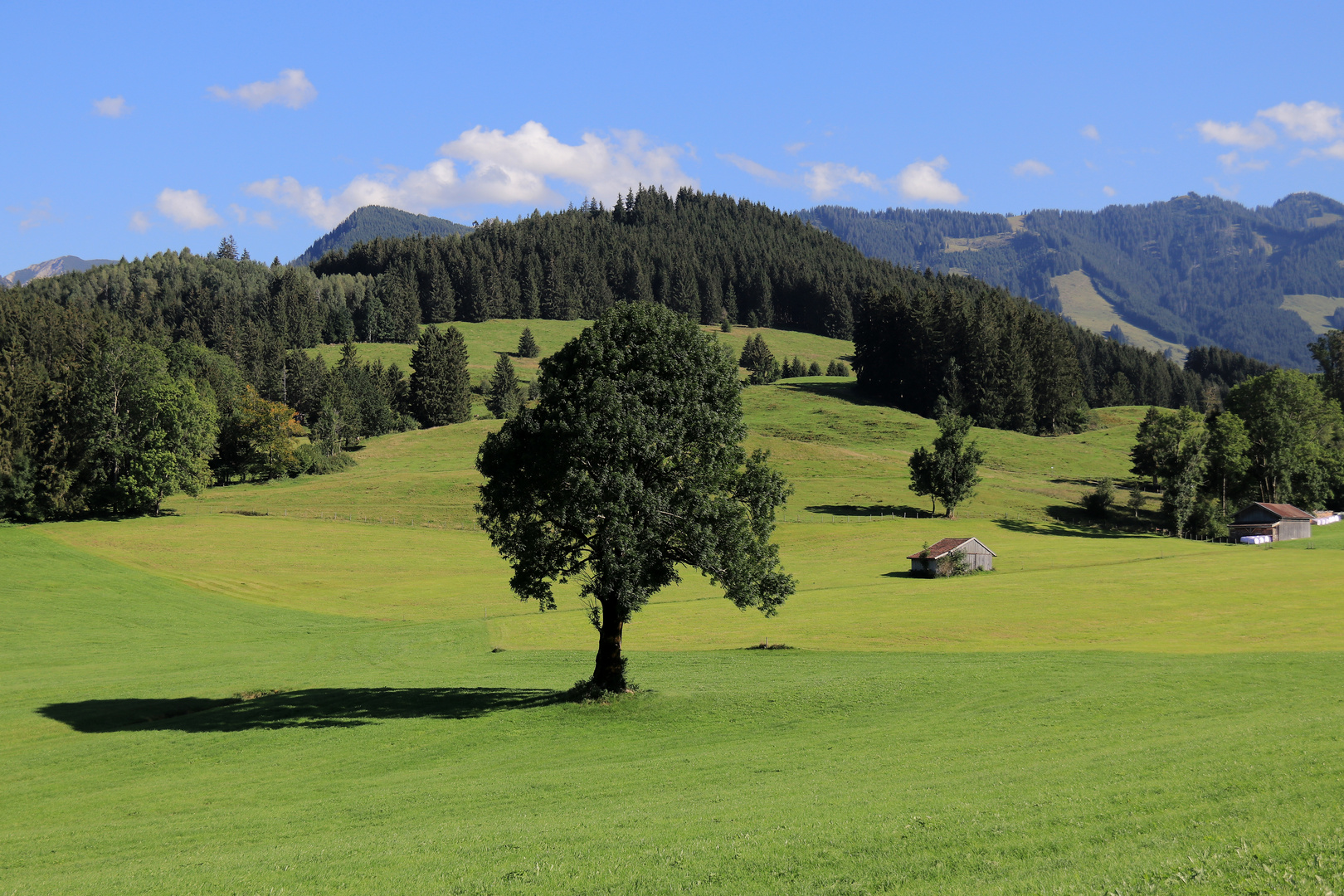 Spätsommer im Oberallgäu