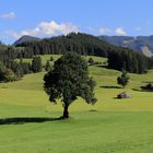 Spätsommer im Oberallgäu