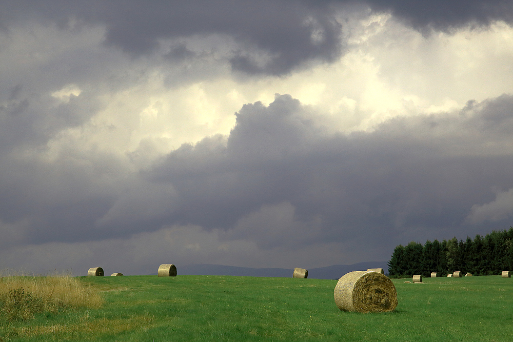 Spätsommer im Oberharz