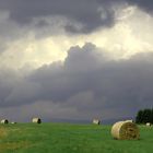 Spätsommer im Oberharz