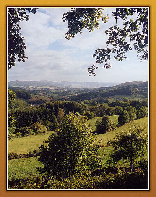 SPÄTSOMMER IM ODENWALD